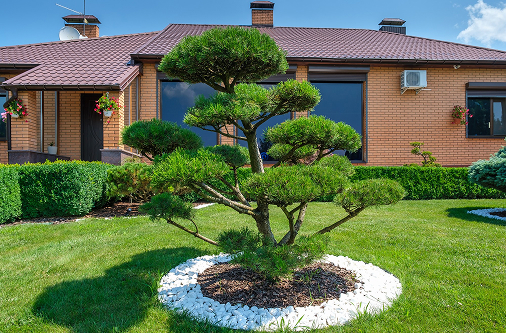 Garden Planning projects 6