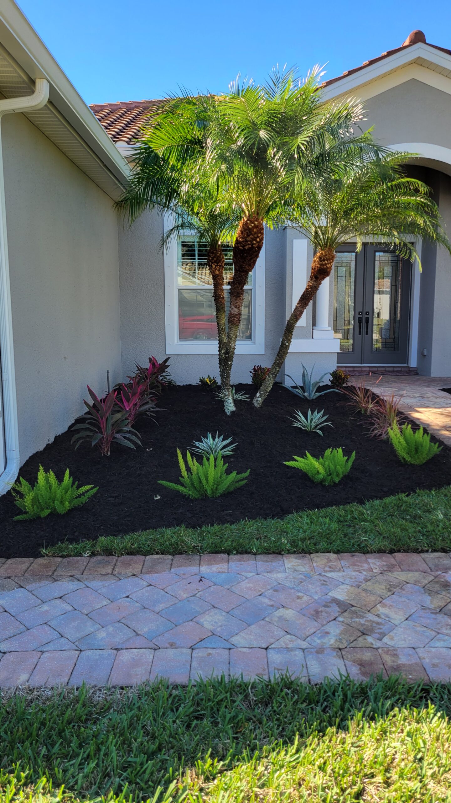 Landscape Desing 20240120 140121