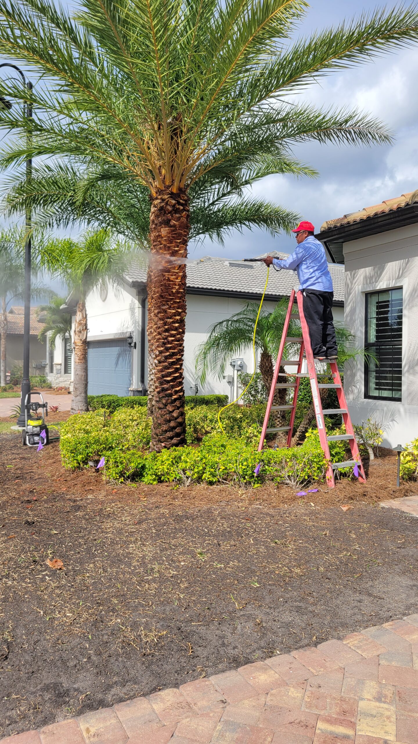 Landscape Desing 20240216 141338